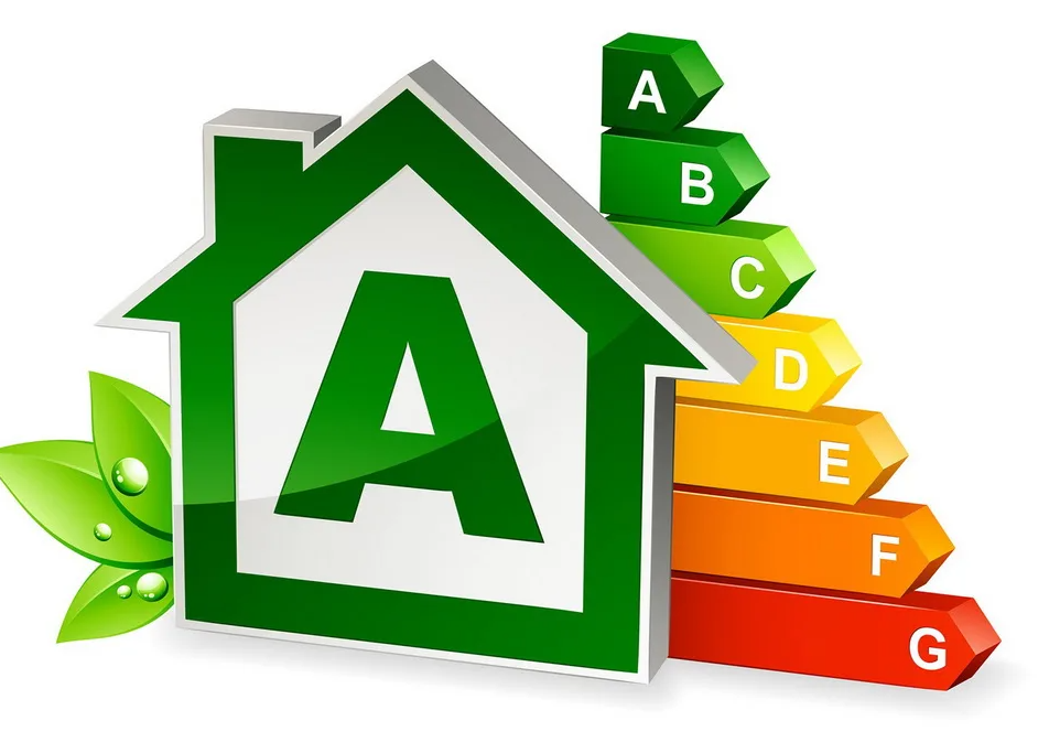 Specialist reviewing sustainable building systems