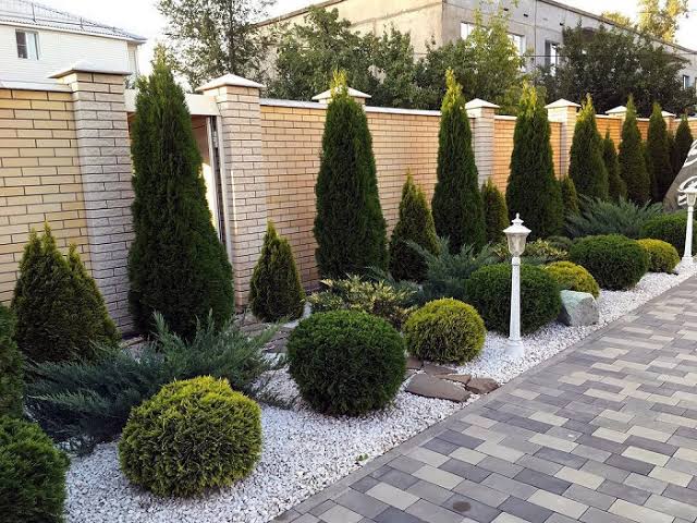 Seasonal planting and sustainable garden landscaping