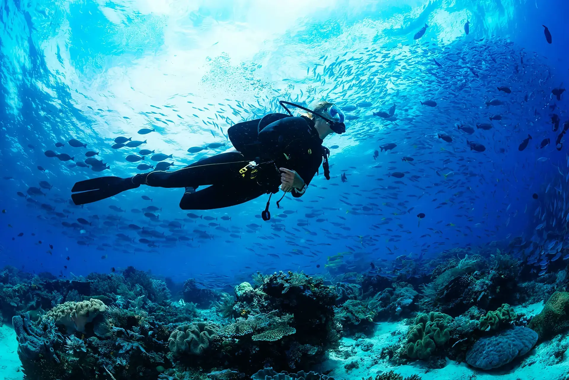 TidalKit Rush - Your Gateway to Underwater Adventures