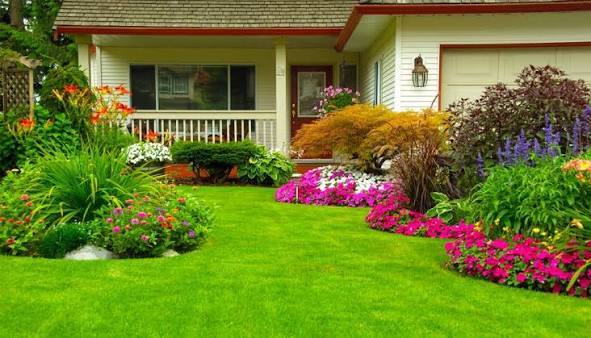 Garden landscaping and outdoor living space